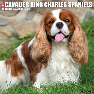 2027 Willow Creek Cavalier King Charles Spaniels  12 x 12 Monthly Wall Calendar (59623)