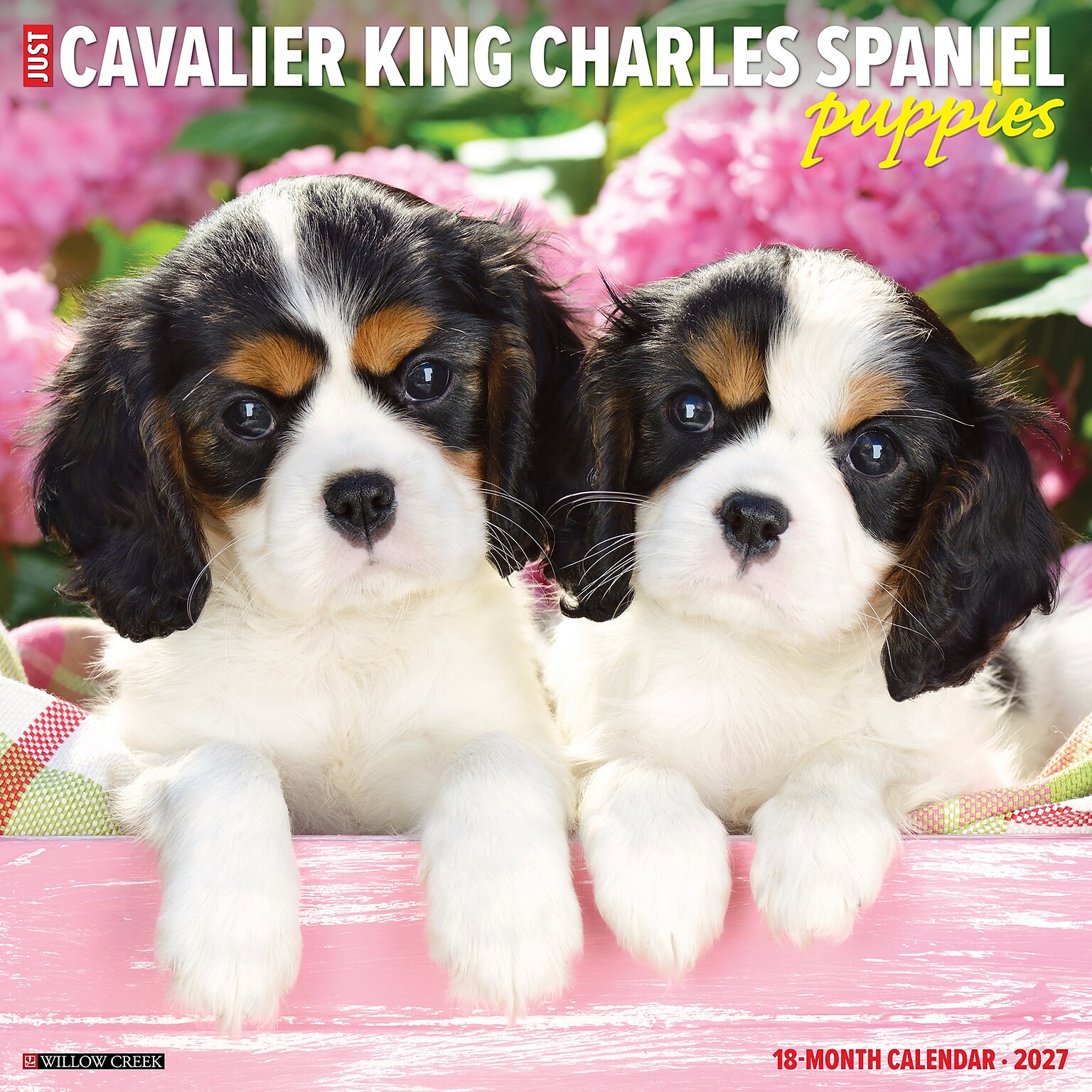 2027 Willow Creek Cavalier King Charles Spaniel Puppies  12 x 12 Monthly Wall Calendar (59616)