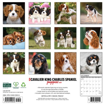2027 Willow Creek Cavalier King Charles Spaniel Puppies  12 x 12 Monthly Wall Calendar (59616)