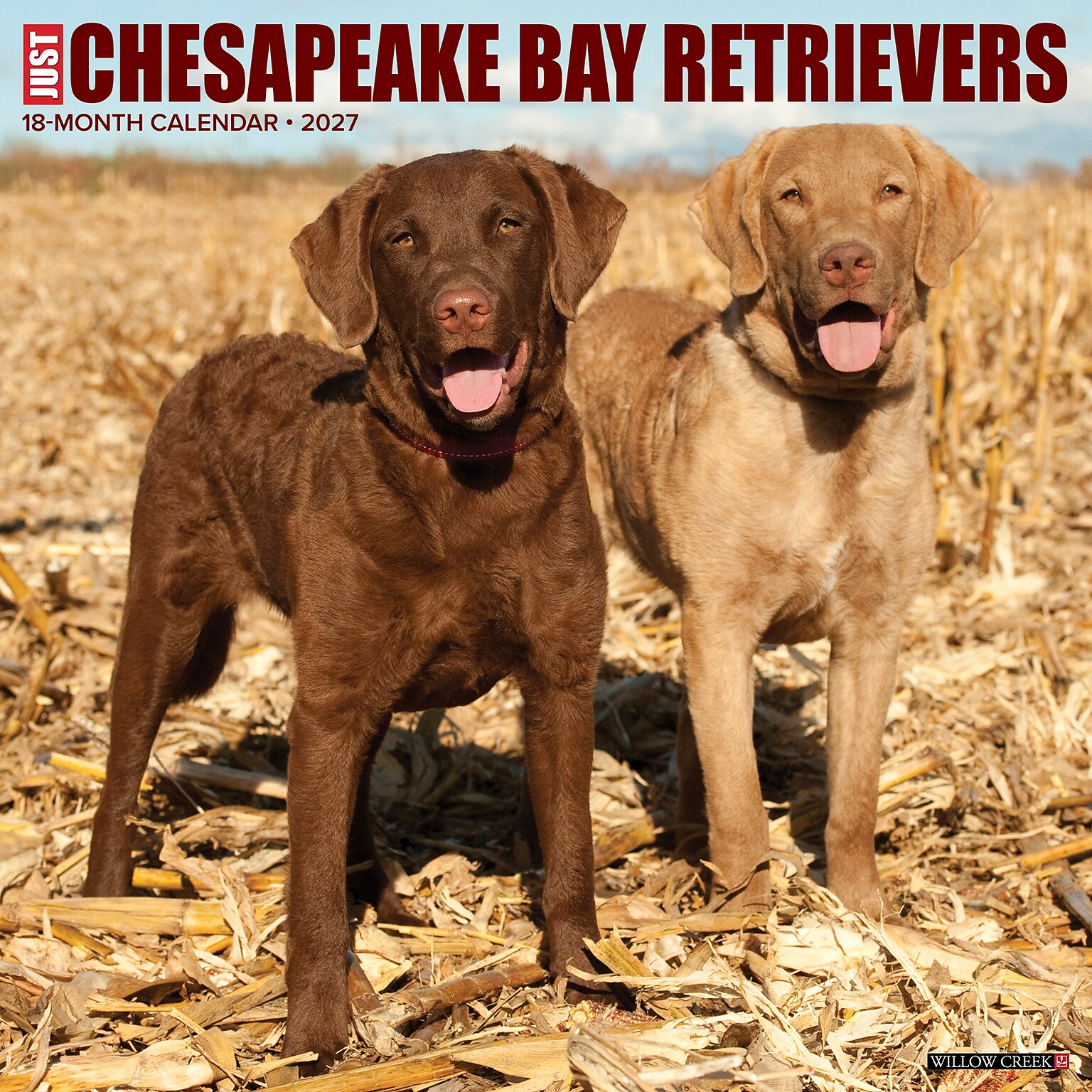 2027 Willow Creek Chesapeake Bay Retrievers 12 x 12 Monthly Wall Calendar (59630)