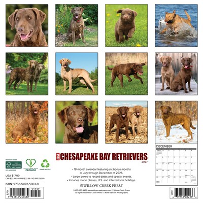 2027 Willow Creek Chesapeake Bay Retrievers 12 x 12 Monthly Wall Calendar (59630)