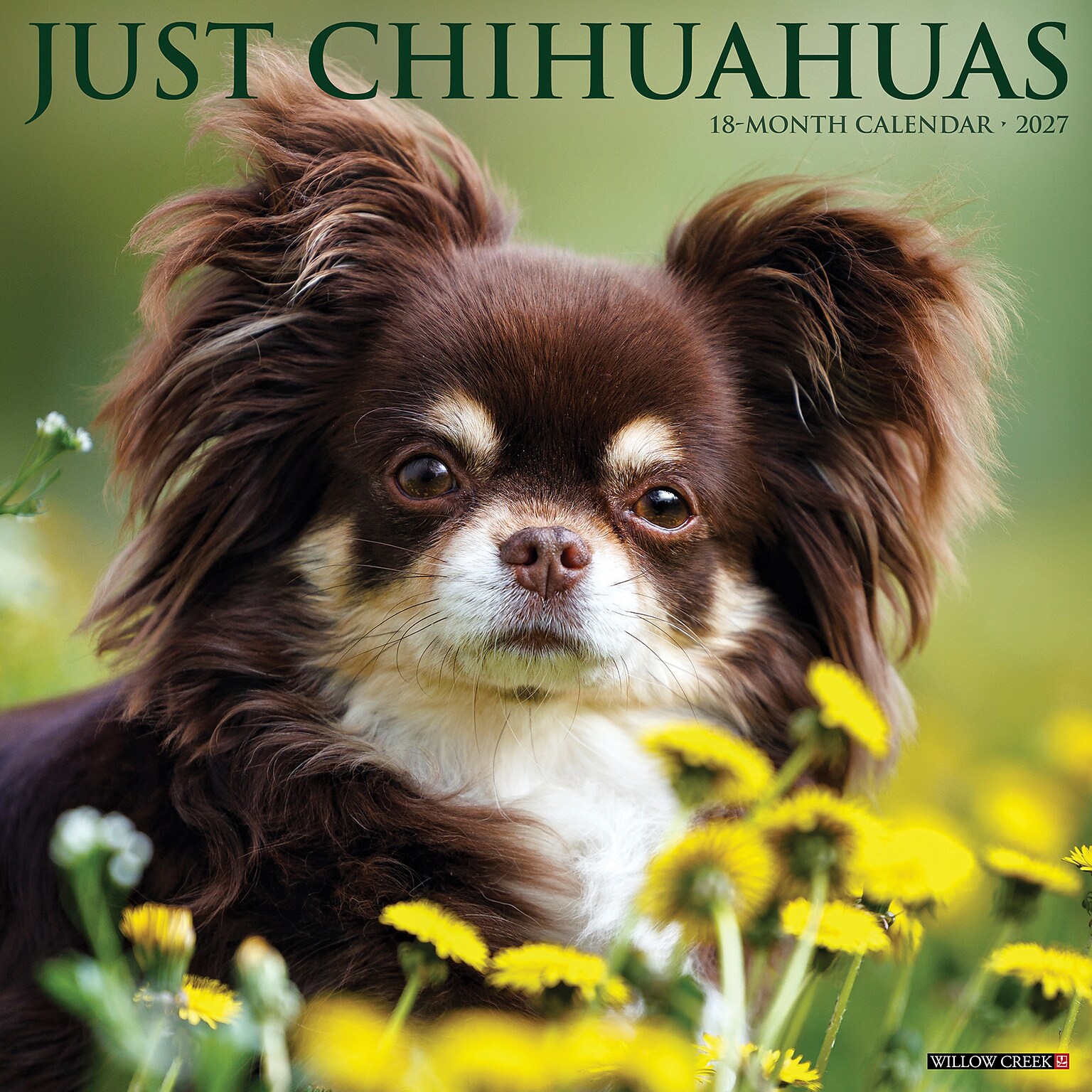2027 Willow Creek Chihuahuas  12 x 12 Monthly Wall Calendar (59661)