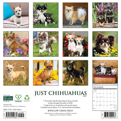 2027 Willow Creek Chihuahuas  12 x 12 Monthly Wall Calendar (59661)