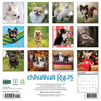 2027 Willow Creek Chihuahua Rules 12 x 12 Monthly Wall Calendar (59654)