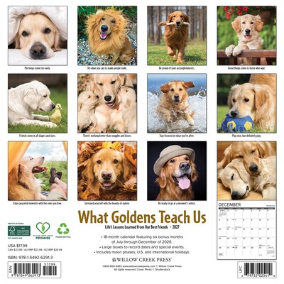 2027 Willow Creek What Goldens Teach Us 12 x 12 Monthly Wall Calendar, Assorted Colors (62913)