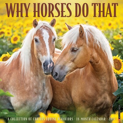 2027 Willow Creek Why Horses Do That 12 x 12 Monthly Wall Calendar, Assorted Colors (62999)