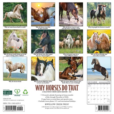 2027 Willow Creek Why Horses Do That 12 x 12 Monthly Wall Calendar, Assorted Colors (62999)