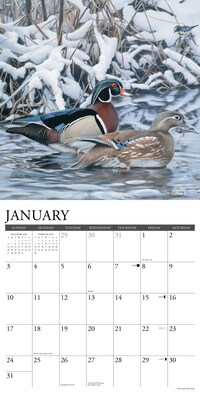2027 Willow Creek Wild America 12" x 12" Monthly Wall Calendar, Assorted Colors (63002)