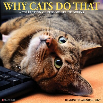 2027 Willow Creek Why Cats Do That 12 x 12 Monthly Wall Calendar, Assorted Colors (62982)