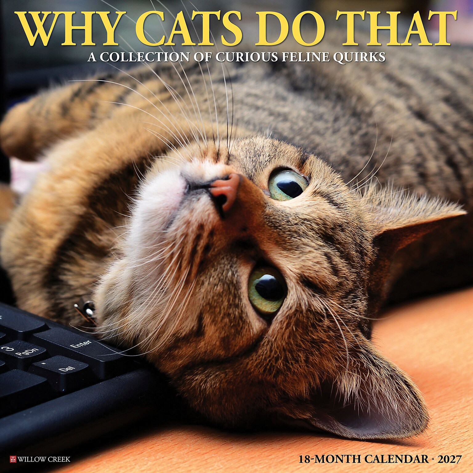 2027 Willow Creek Why Cats Do That 12 x 12 Monthly Wall Calendar, Assorted Colors (62982)