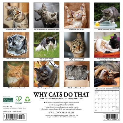 2027 Willow Creek Why Cats Do That 12 x 12 Monthly Wall Calendar, Assorted Colors (62982)
