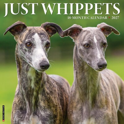 2027 Willow Creek Whippets 12 x 12 Monthly Wall Calendar, Assorted Colors (62968)