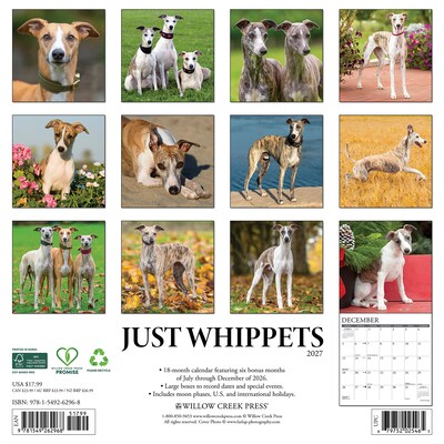 2027 Willow Creek Whippets 12 x 12 Monthly Wall Calendar, Assorted Colors (62968)