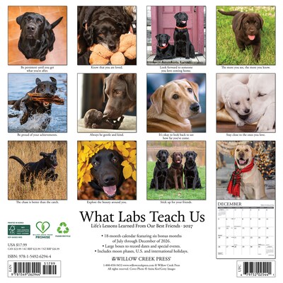 2027 Willow Creek What Labs Teach Us 12 x 12 Monthly Wall Calendar, Assorted Colors (62944)