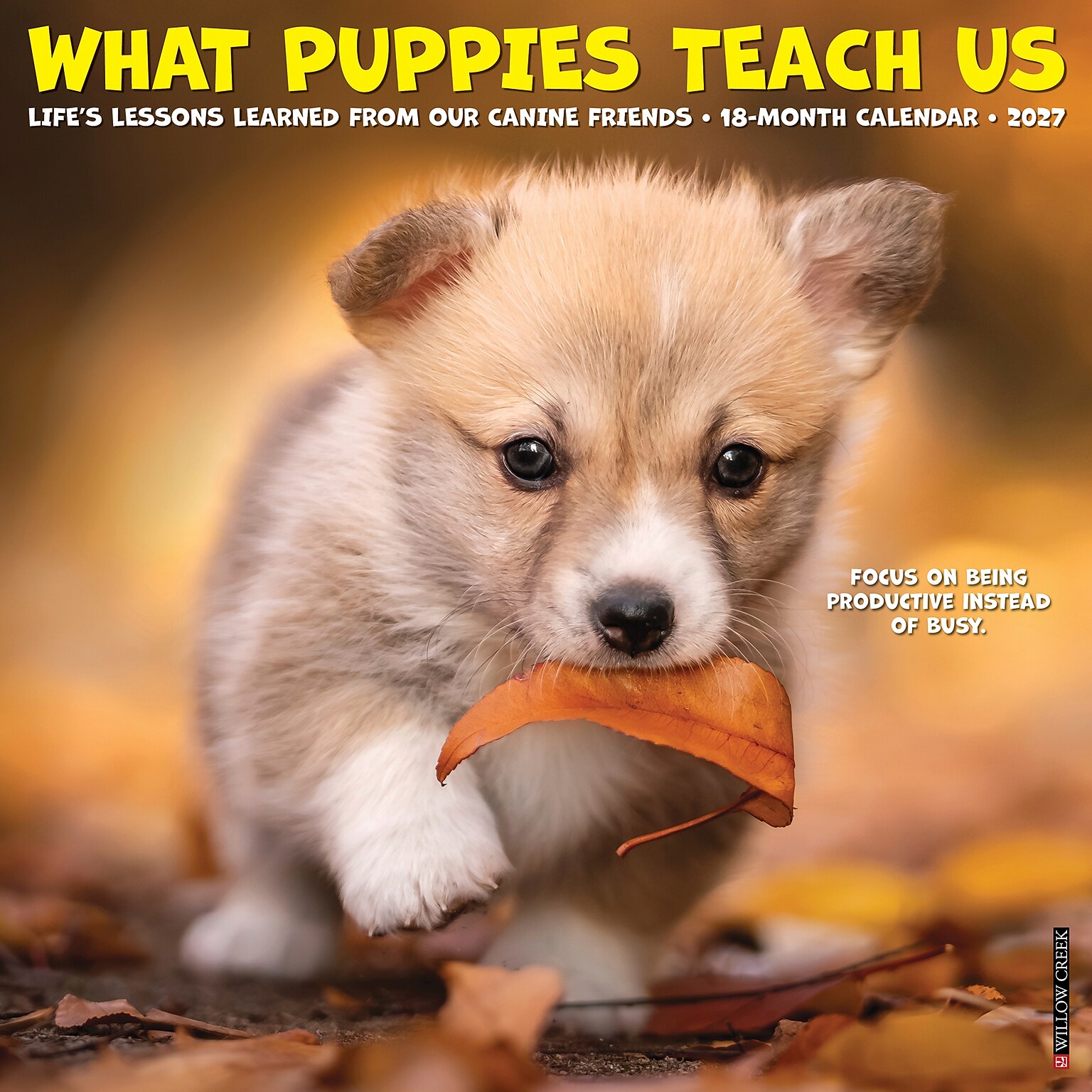 2027 Willow Creek What Puppies Teach Us 12 x 12 Monthly Wall Calendar, Assorted Colors (62951)