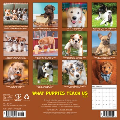 2027 Willow Creek What Puppies Teach Us 12 x 12 Monthly Wall Calendar, Assorted Colors (62951)