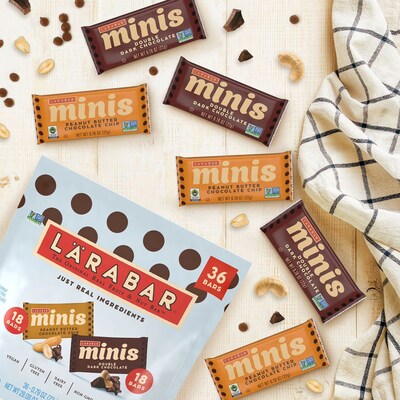 Larabar Minis Gluten Free Varierty Pack Breakfast Bars, 0.78 oz., 36 Bars/Pack (GEM02966)