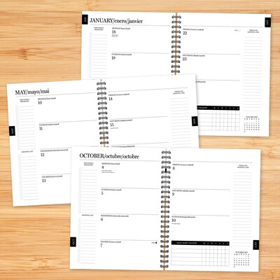 2027 Willow Creek Basic Green 6.5" x 8.5" Weekly & Monthly Desk Calendar, Assorted Colors (66980)