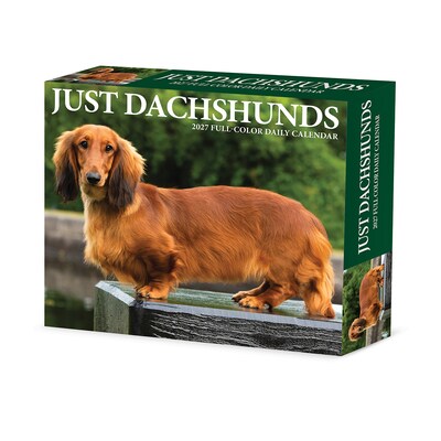 2027 Willow Creek Dachshunds 6.2 x 5.4 Daily Day-to-Day Calendar, Assorted Colors (63385)