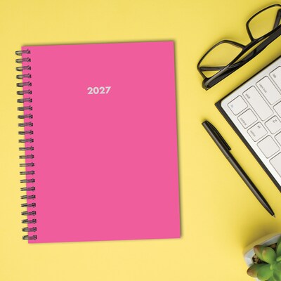 2027 Willow Creek Basic Pink 8.5" x 11" Weekly & Monthly Desk Calendar, Assorted Colors (67000)