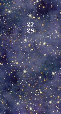 2027 Willow Creek Starry Night 3.5 x 6.5 Monthly Pocket/Wallet Calendar, Assorted Colors (66966)