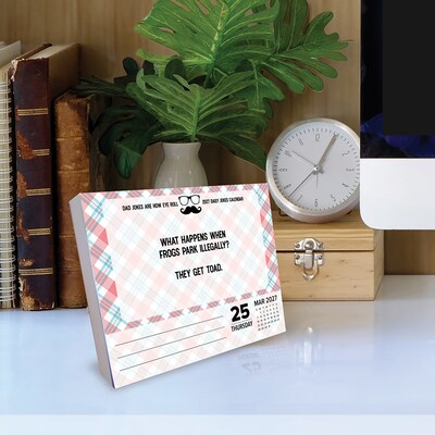 2027 Willow Creek Dad Jokes 6.2" x 5.4" Daily Day-to-Day Calendar, Assorted Colors (63392)