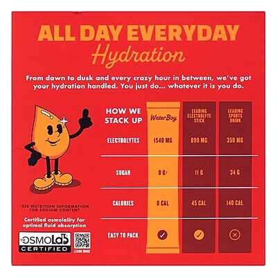 Waterboy Sugar Free Daily Hydration Electrolyte Drink Mix Variety Pack, 3.23 oz., 30/Pack (WTB37473)