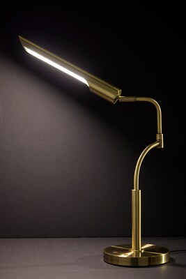 Adesso Zane Collection 17" LED Table Lamp, Antique Brass (3957-21)