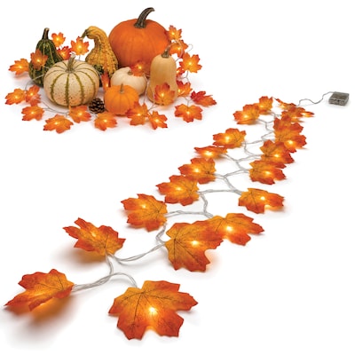 Excello Brands 7.2 Autumn Leaves LED Light Strand, Orange (OD-ATMNLED)