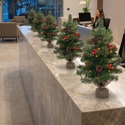 Excello Brands 24 Desktop Christmas Tree with LED Fairy Lights, Green (OD-LEDTREE-24)