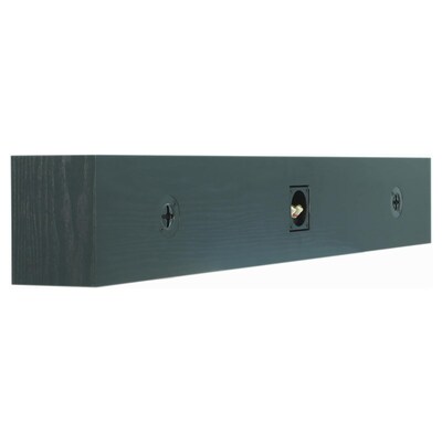 BIC America RtR Elite OWCLR35 100W On-Wall 4.5-In. Center or LR Speaker, Matte Black