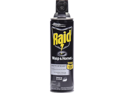 Raid Wasp & Hornet Killer 33 Aerosol for Wasps & Hornets, Unscented, 14 oz. (668006)