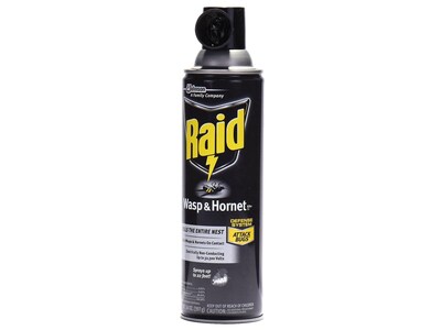 Raid Wasp & Hornet Killer 33 Aerosol for Wasps & Hornets, Unscented, 14 oz. (668006)