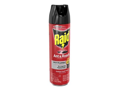 Raid Ant & Roach Killer 26 Aerosol for Ants & Roaches, Outdoor Fresh Scent, 17.5 oz. (669798)