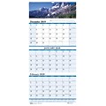 2020 House of Doolittle, 12.25 x 26, Three-Month Earthscapes Scenic Vertical Wall Calendar  (HOD3638)