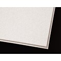 Armstrong Dune Second Look Angled Tegular 2x4 White Ceiling Tile, 10 Count (2712A)