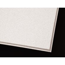 Armstrong Dune Second Look Angled Tegular 2x4 White Ceiling Tile, 10 Count (2712A)