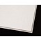 Armstrong Dune Angled Tegular 2x2 White Ceiling Tile, 16 Count (1774)