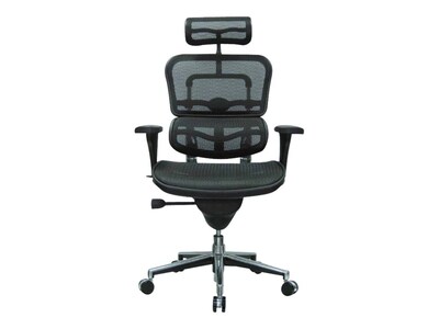 Eurotech High Back Mesh Task Chair, Black (ME7ERG(N))