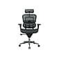 Eurotech High Back Mesh Task Chair, Black (ME7ERG(N))