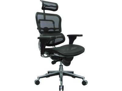 Eurotech High Back Mesh Task Chair, Black (ME7ERG(N))