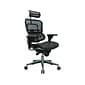 Eurotech High Back Mesh Task Chair, Black (ME7ERG(N))