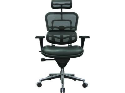 Eurotech Ergohuman Mesh Back Leather Task Chair, Black (LEM4ERG -LBK(N))