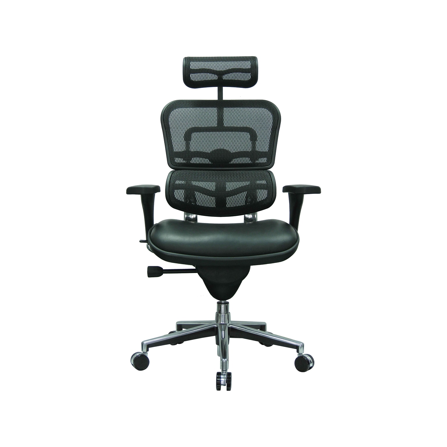 Eurotech Ergohuman Mesh Back Leather Task Chair, Black (LEM4ERG -LBK(N))