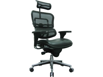 Eurotech Ergohuman Mesh Back Leather Task Chair, Black (LEM4ERG -LBK(N))