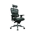 Eurotech Ergohuman Mesh Back Leather Task Chair, Black (LEM4ERG -LBK(N))