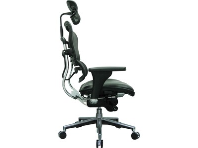 Eurotech Ergohuman Mesh Back Leather Task Chair, Black (LEM4ERG -LBK(N))