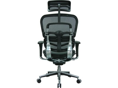 Eurotech Ergohuman Mesh Back Leather Task Chair, Black (LEM4ERG -LBK(N))