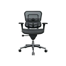 Raynor Low Back Mesh Task Chair, Black (ME8ERGLO(N))