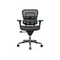 Raynor Low Back Mesh Task Chair, Black (ME8ERGLO(N))